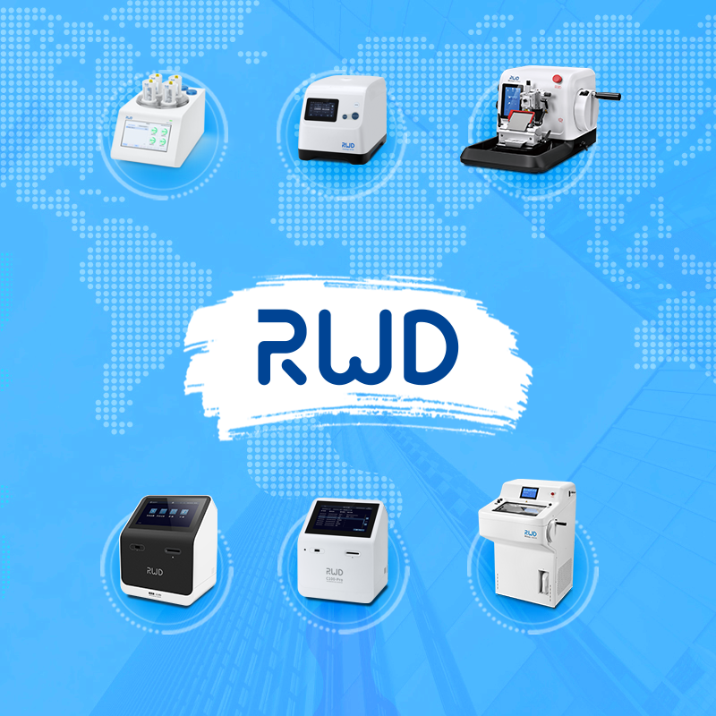 Приветствуем компанию RWD!